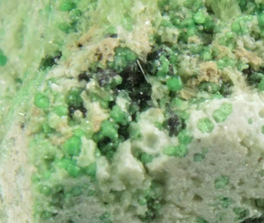 Uvarovite with Chromite cores plus Diopside and Tremolite from Fengtien Mine, Conc. S., 5 kilometers west of Fengtien village, Hualien, Taiwan