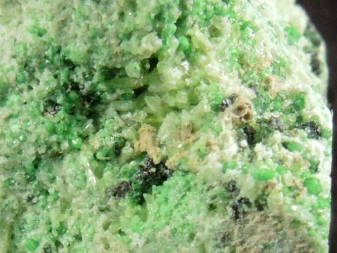 Uvarovite with Chromite cores plus Diopside and Tremolite from Conc. S, Fengtien Mine, Hualien, 5 kilometers west of Fengtien village, Hualien, Taiwan