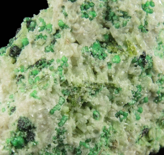 Uvarovite with Chromite cores plus Diopside, Clinozoisite from Fengtien Mine, Conc. S., 5 kilometers west of Fengtien village, Hualien, Taiwan