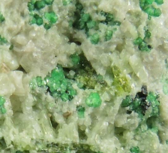 Uvarovite with Chromite cores plus Diopside, Clinozoisite from Conc. S, Fengtien Mine, Hualien, 5 kilometers west of Fengtien village, Hualien, Taiwan