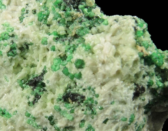 Uvarovite with Chromite cores plus Diopside, Clinozoisite from Fengtien Mine, Conc. S., 5 kilometers west of Fengtien village, Hualien, Taiwan