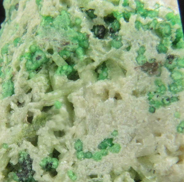 Uvarovite with Chromite cores plus Diopside from Fengtien Mine, Conc. S., 5 kilometers west of Fengtien village, Hualien, Taiwan