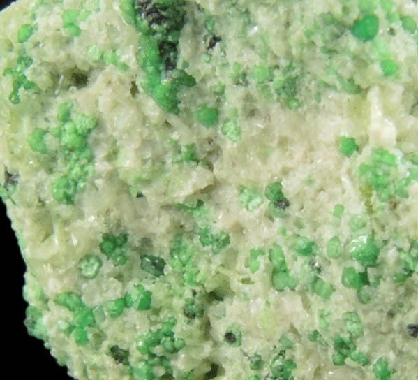 Uvarovite with Chromite cores plus Diopside from Fengtien Mine, Conc. S., 5 kilometers west of Fengtien village, Hualien, Taiwan