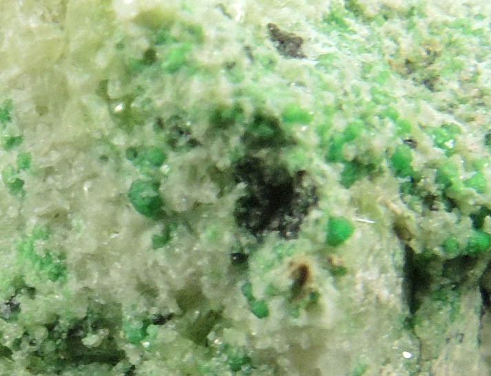 Uvarovite with Chromite cores plus Diopside from Fengtien Mine, Conc. S., 5 kilometers west of Fengtien village, Hualien, Taiwan