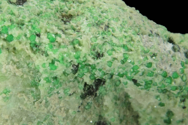 Uvarovite with Chromite cores plus Diopside from Fengtien Mine, Conc. S., 5 kilometers west of Fengtien village, Hualien, Taiwan