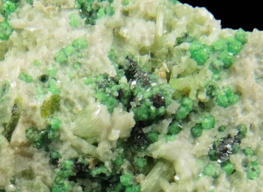 Uvarovite with Chromite cores plus Diopside from Fengtien Mine, Conc. S., 5 kilometers west of Fengtien village, Hualien, Taiwan