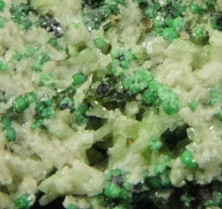 Uvarovite with Chromite cores plus Diopside from Fengtien Mine, Conc. S., 5 kilometers west of Fengtien village, Hualien, Taiwan