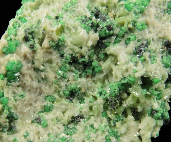 Uvarovite with Chromite cores plus Diopside from Fengtien Mine, Conc. S., 5 kilometers west of Fengtien village, Hualien, Taiwan