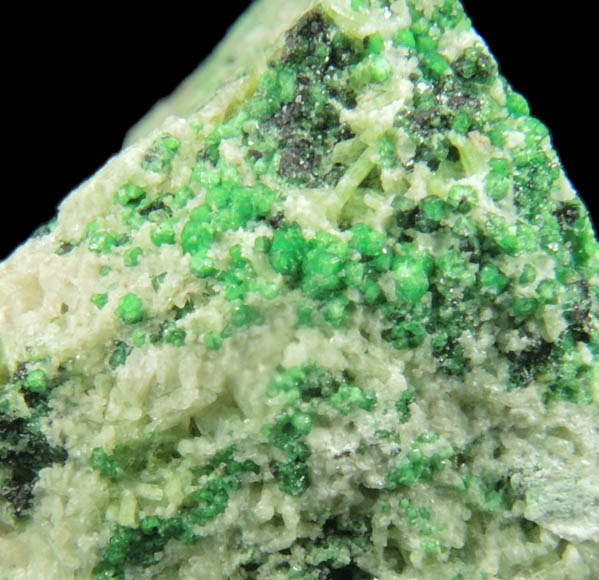 Uvarovite with Chromite cores plus Diopside, Clinozoisite from Fengtien Mine, Conc. S., 5 kilometers west of Fengtien village, Hualien, Taiwan