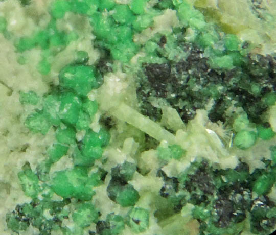 Uvarovite with Chromite cores plus Diopside, Clinozoisite from Fengtien Mine, Conc. S., 5 kilometers west of Fengtien village, Hualien, Taiwan