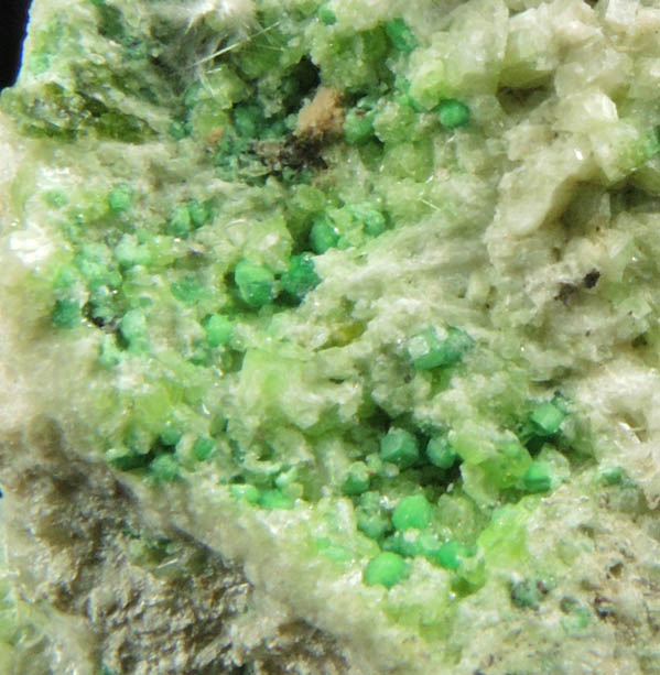 Uvarovite Garnet, Clinozoisite, Tremolite on Diopside from Fengtien Mine, Conc. S., 5 kilometers west of Fengtien village, Hualien, Taiwan