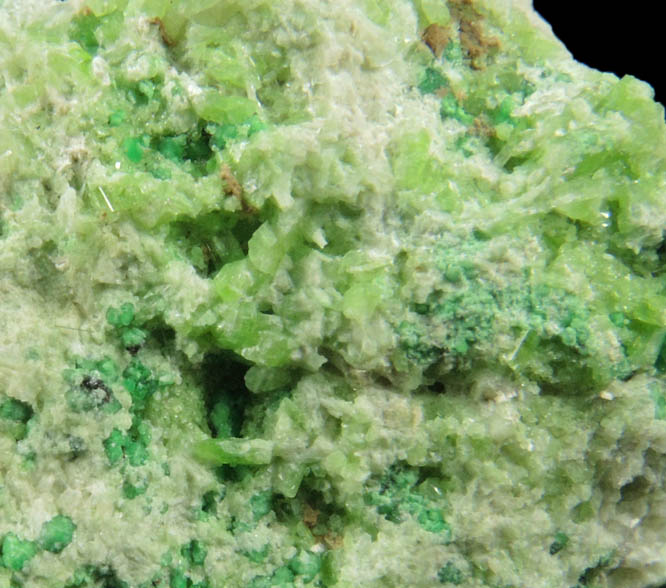 Uvarovite Garnet, Clinozoisite, Tremolite on Diopside from Fengtien Mine, Conc. S., 5 kilometers west of Fengtien village, Hualien, Taiwan