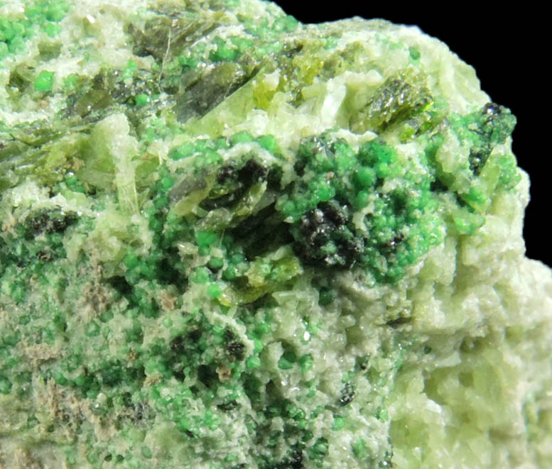 Uvarovite with Chromite cores plus Diopside, Clinozoisite from Conc. S, Fengtien Mine, Hualien, 5 kilometers west of Fengtien village, Hualien, Taiwan
