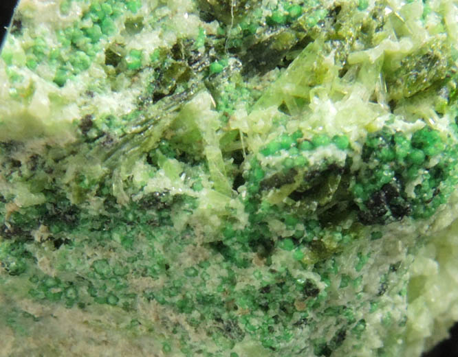 Uvarovite with Chromite cores plus Diopside, Clinozoisite from Conc. S, Fengtien Mine, Hualien, 5 kilometers west of Fengtien village, Hualien, Taiwan