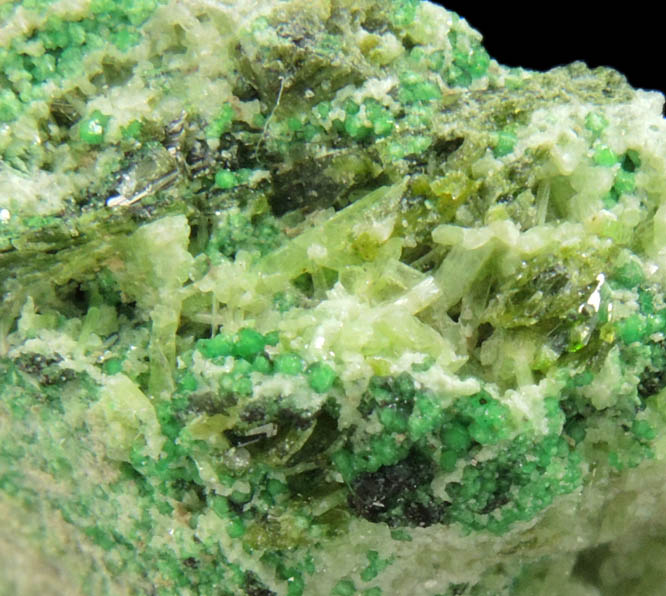 Uvarovite with Chromite cores plus Diopside, Clinozoisite from Conc. S, Fengtien Mine, Hualien, 5 kilometers west of Fengtien village, Hualien, Taiwan