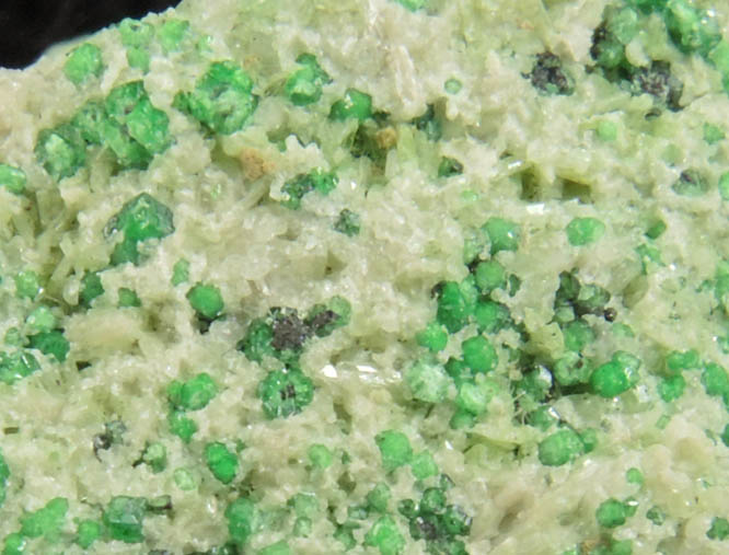 Uvarovite with Chromite cores plus Diopside from Fengtien Mine, Conc. S., 5 kilometers west of Fengtien village, Hualien, Taiwan