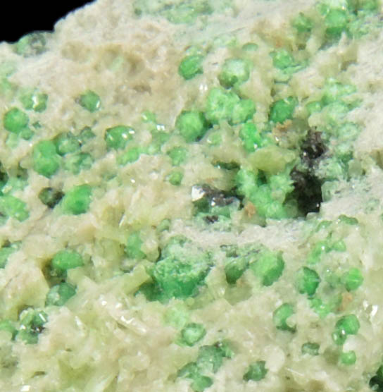 Uvarovite with Chromite cores plus Diopside from Fengtien Mine, Conc. S., 5 kilometers west of Fengtien village, Hualien, Taiwan