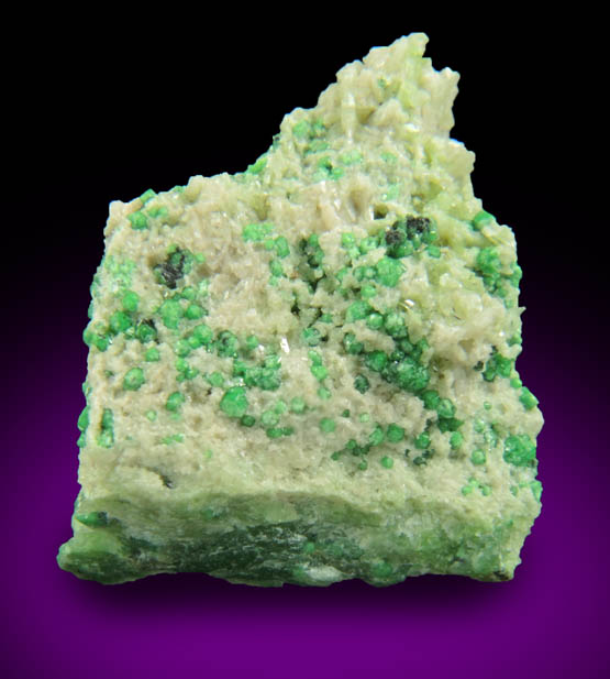 Uvarovite with Chromite cores plus Diopside and Tremolite from Fengtien Mine, Conc. S., 5 kilometers west of Fengtien village, Hualien, Taiwan