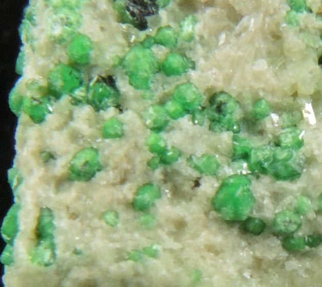 Uvarovite with Chromite cores plus Diopside and Tremolite from Fengtien Mine, Conc. S., 5 kilometers west of Fengtien village, Hualien, Taiwan