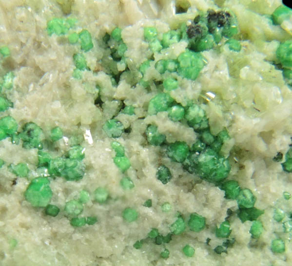 Uvarovite with Chromite cores plus Diopside and Tremolite from Fengtien Mine, Conc. S., 5 kilometers west of Fengtien village, Hualien, Taiwan