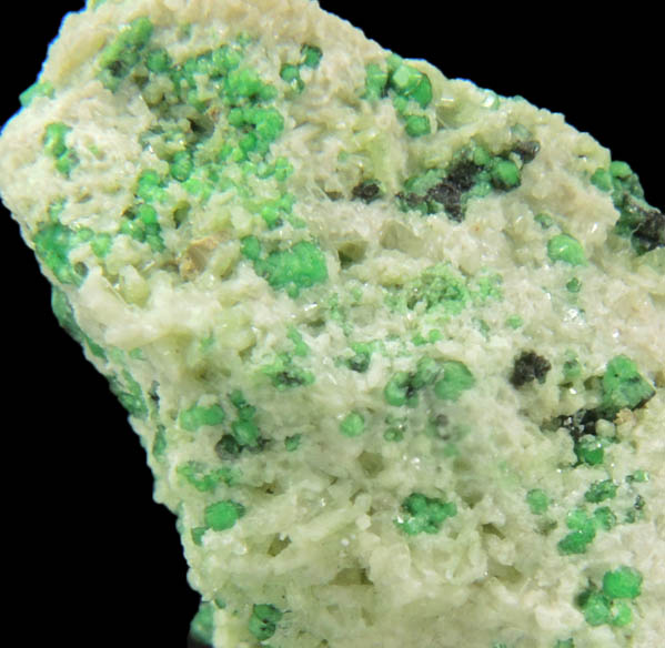 Uvarovite with Chromite cores plus Diopside from Fengtien Mine, Conc. S., 5 kilometers west of Fengtien village, Hualien, Taiwan