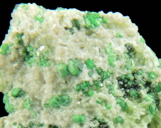 Uvarovite with Chromite cores plus Diopside from Fengtien Mine, Conc. S., 5 kilometers west of Fengtien village, Hualien, Taiwan