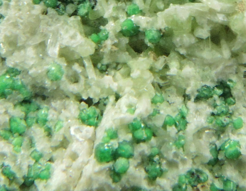 Uvarovite with Chromite cores plus Diopside from Fengtien Mine, Conc. S., 5 kilometers west of Fengtien village, Hualien, Taiwan