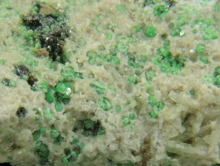 Uvarovite Garnet with Chromite cores plus Diopside from Fengtien Mine, Conc. S., 5 kilometers west of Fengtien village, Hualien, Taiwan