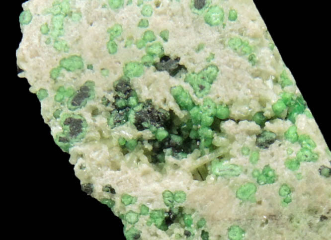 Uvarovite with Chromite cores plus Diopside from Fengtien Mine, Conc. S., 5 kilometers west of Fengtien village, Hualien, Taiwan