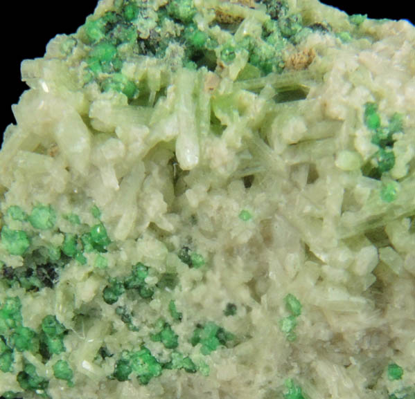 Uvarovite with Chromite cores plus Diopside, Clinozoisite from Fengtien Mine, Conc. S., 5 kilometers west of Fengtien village, Hualien, Taiwan