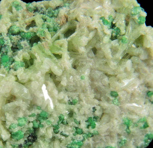 Uvarovite with Chromite cores plus Diopside, Clinozoisite from Fengtien Mine, Conc. S., 5 kilometers west of Fengtien village, Hualien, Taiwan