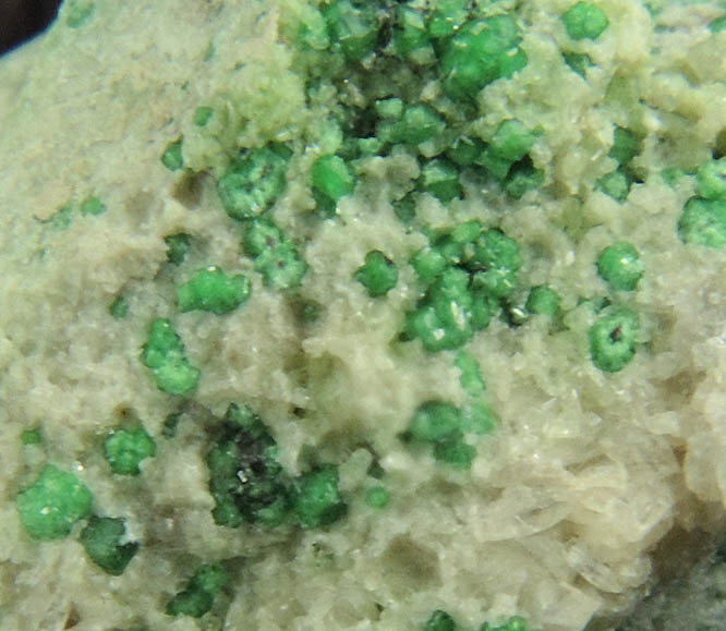 Uvarovite with Chromite cores plus Diopside and Tremolite from Fengtien Mine, Conc. S., 5 kilometers west of Fengtien village, Hualien, Taiwan