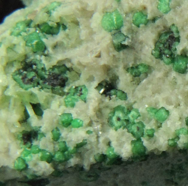 Uvarovite with Chromite cores plus Diopside and Tremolite from Fengtien Mine, Conc. S., 5 kilometers west of Fengtien village, Hualien, Taiwan