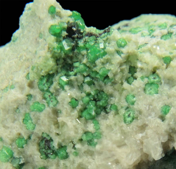 Uvarovite with Chromite cores plus Diopside and Tremolite from Fengtien Mine, Conc. S., 5 kilometers west of Fengtien village, Hualien, Taiwan