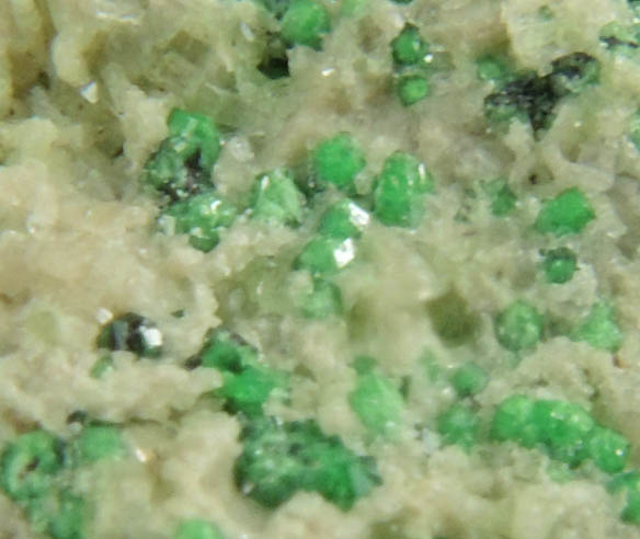 Uvarovite with Chromite cores plus Diopside from Fengtien Mine, Conc. S., 5 kilometers west of Fengtien village, Hualien, Taiwan