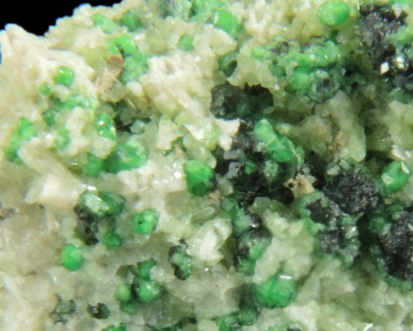 Uvarovite with Chromite cores plus Diopside from Fengtien Mine, Conc. S., 5 kilometers west of Fengtien village, Hualien, Taiwan