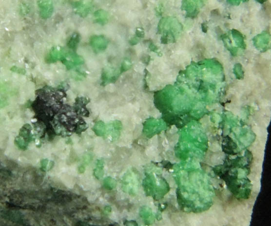 Uvarovite with Chromite cores plus Diopside from Fengtien Mine, Conc. S., 5 kilometers west of Fengtien village, Hualien, Taiwan