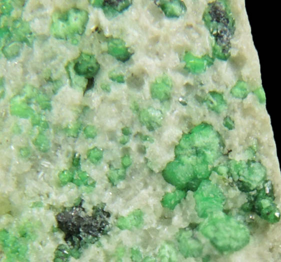 Uvarovite with Chromite cores plus Diopside from Fengtien Mine, Conc. S., 5 kilometers west of Fengtien village, Hualien, Taiwan