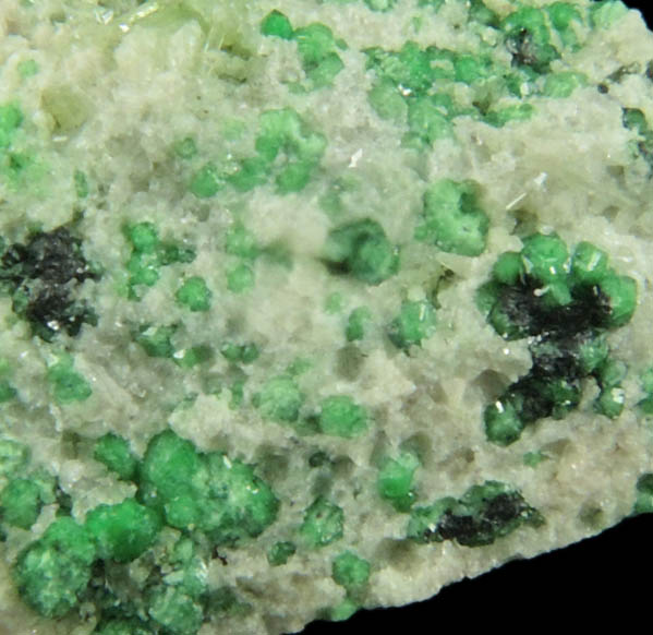 Uvarovite with Chromite cores plus Diopside from Fengtien Mine, Conc. S., 5 kilometers west of Fengtien village, Hualien, Taiwan