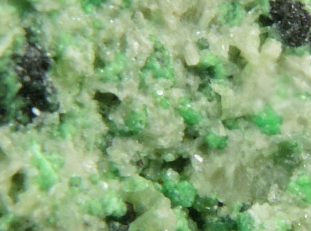 Uvarovite with Chromite cores plus Diopside from Fengtien Mine, Conc. S., 5 kilometers west of Fengtien village, Hualien, Taiwan