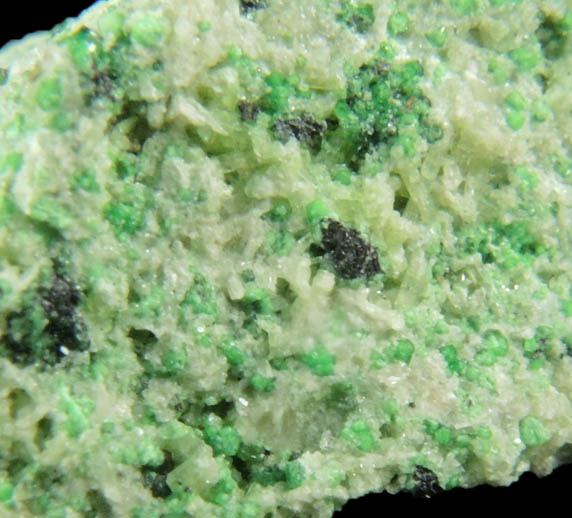 Uvarovite with Chromite cores plus Diopside from Fengtien Mine, Conc. S., 5 kilometers west of Fengtien village, Hualien, Taiwan