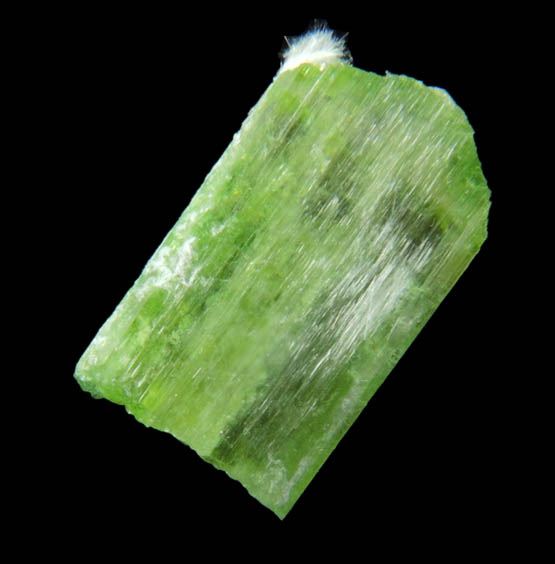 Diopside (chrome-rich) with Tremolite from Fengtien Mine, Conc. A2., 5 kilometers west of Fengtien village, Hualien, Taiwan