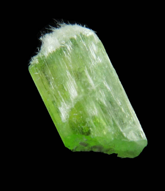 Diopside (chrome-rich) with Tremolite from Fengtien Mine, Conc. A2., 5 kilometers west of Fengtien village, Hualien, Taiwan