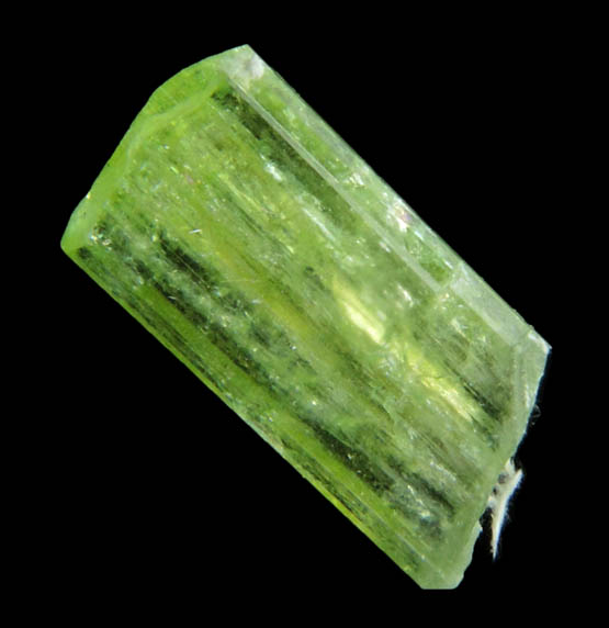 Diopside (chrome-rich) with Tremolite from Fengtien Mine, Conc. A2., 5 kilometers west of Fengtien village, Hualien, Taiwan