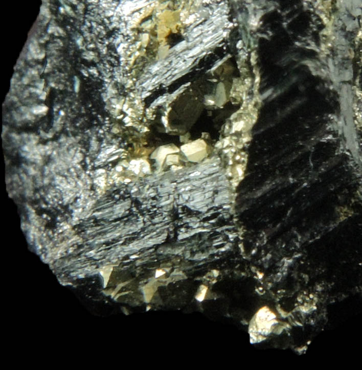 Enargite with Pyrite from Adit 5, Chinkuashih Mine, near Jui-fang, Taipei, Taiwan