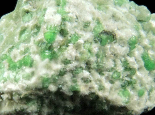 Uvarovite Garnet in Tremolite from Fengtien Mine, Conc. S., 5 kilometers west of Fengtien village, Hualien, Taiwan