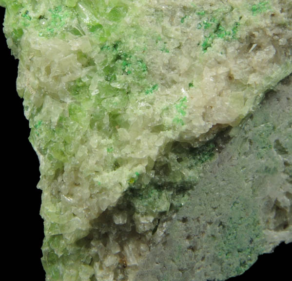 Clinozoisite, Diopside, Tremolite, Uvarovite Garnet from Fengtien Mine, Conc. S., 5 kilometers west of Fengtien village, Hualien, Taiwan