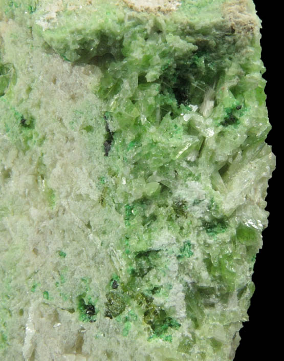 Clinozoisite, Diopside, Tremolite, Uvarovite Garnet from Fengtien Mine, Conc. S., 5 kilometers west of Fengtien village, Hualien, Taiwan