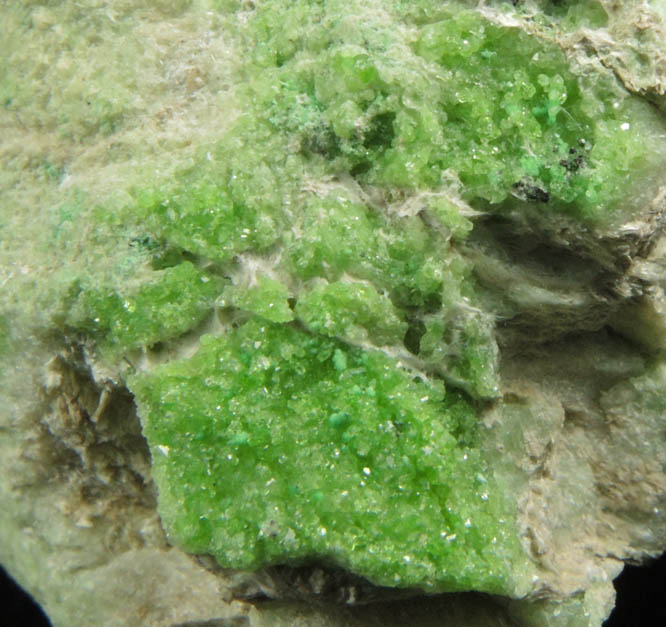 Uvarovite on Diopside from Fengtien Mine, Conc. S., 5 kilometers west of Fengtien village, Hualien, Taiwan