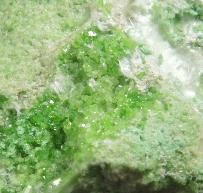 Uvarovite on Diopside from Fengtien Mine, Conc. S., 5 kilometers west of Fengtien village, Hualien, Taiwan